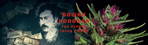стафф Богданович