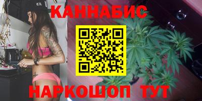 сатива Балахна