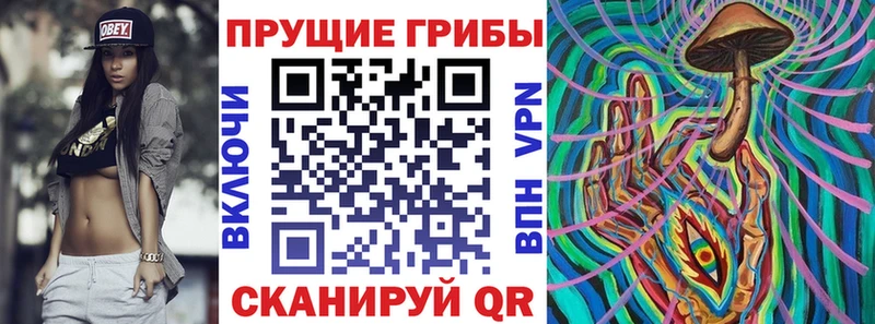 где найти Городец Псилоцибиновые грибы прущие грибы