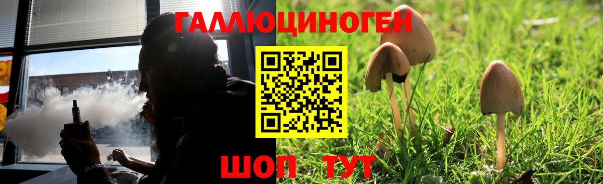 Псилоцибиновые грибы Magic Shrooms  Вход с VPN  Городец 